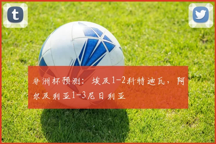 非洲杯预测：埃及1-2科特迪瓦，阿尔及利亚1-3尼日利亚