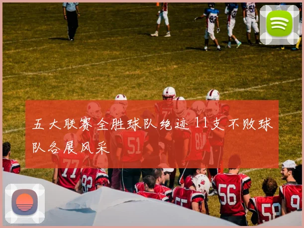 五大联赛全胜球队绝迹 11支不败球队各展风采
